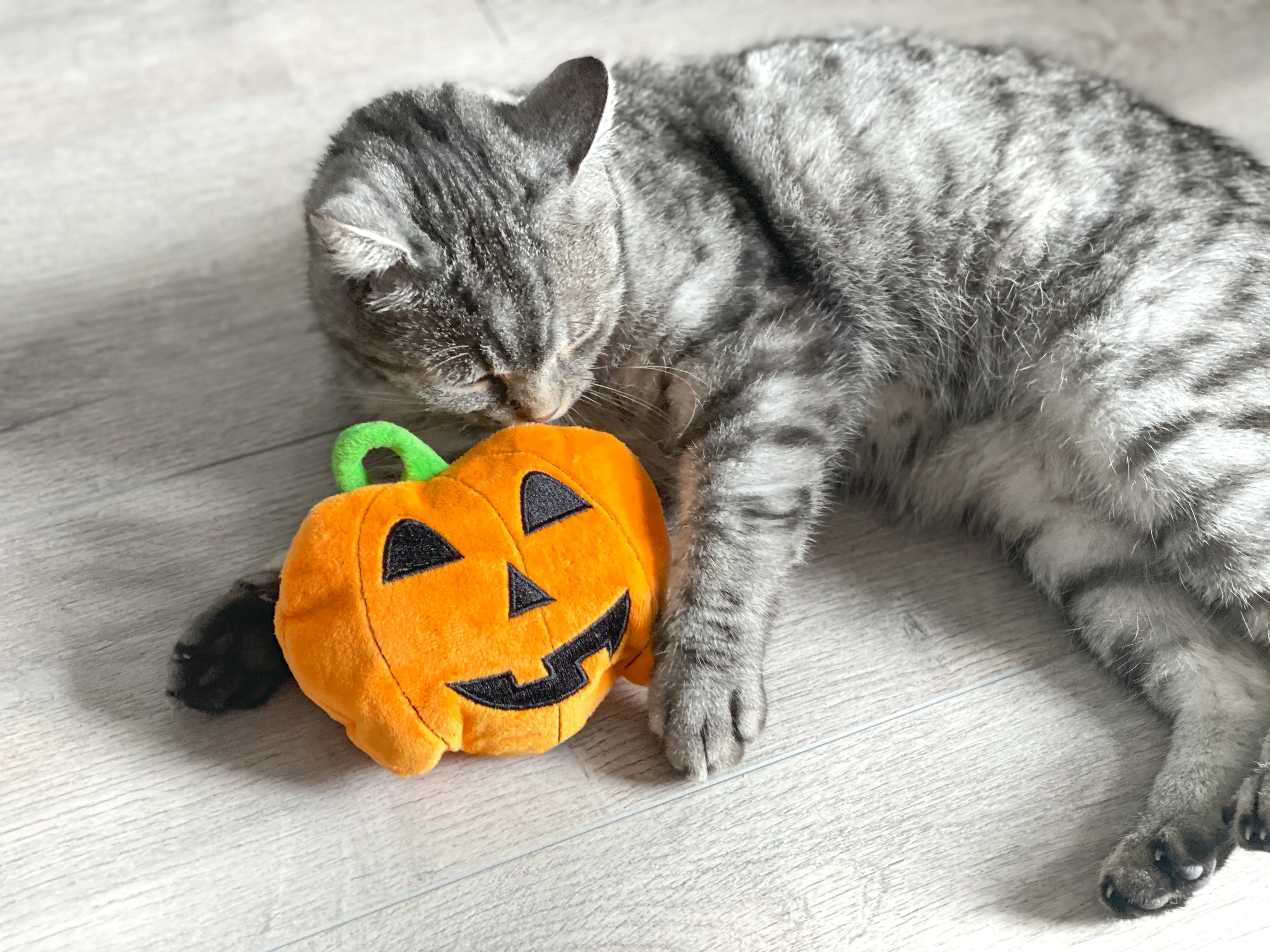 Aumüller Katzenspielzeug Kürbis 15 cm orange Aumüller Katzenspielzeug Kürbis 15 cm orange