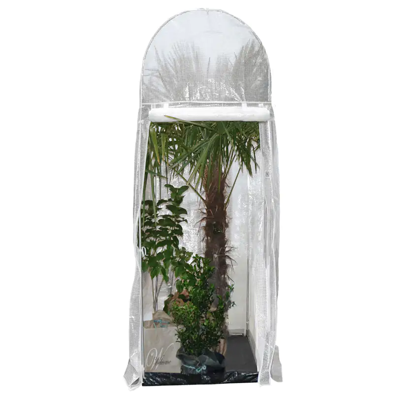 Videx Winterschutz Frost-Schutzhaus PALM PROTECT 250 x 100 x 100 cm, transparent