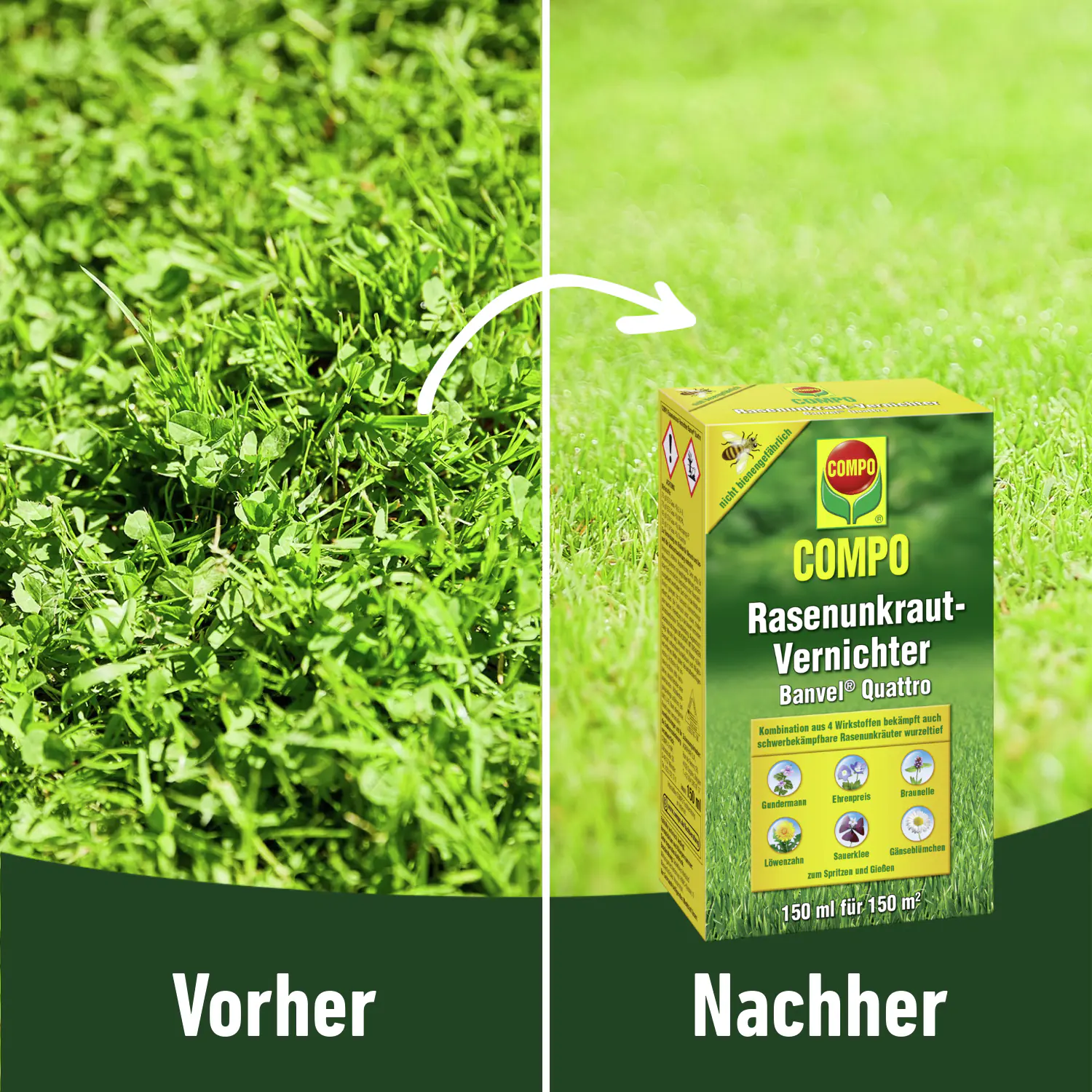 Compo Rasenunkrautvernichter Banvel Quattro 150 ml