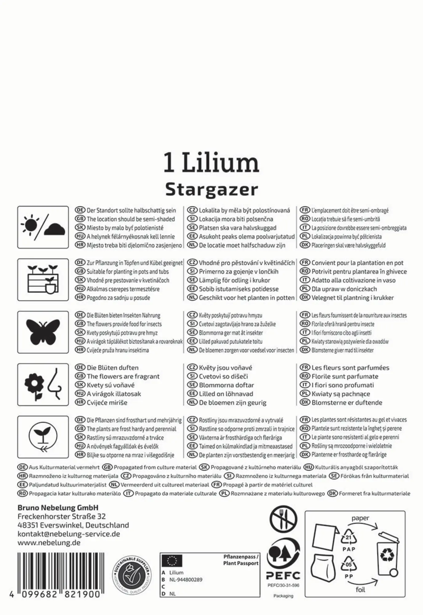 Kiepenkerl Frühjahrsblumenzwiebel Oriental-Lilie Stargazer 1 Stück