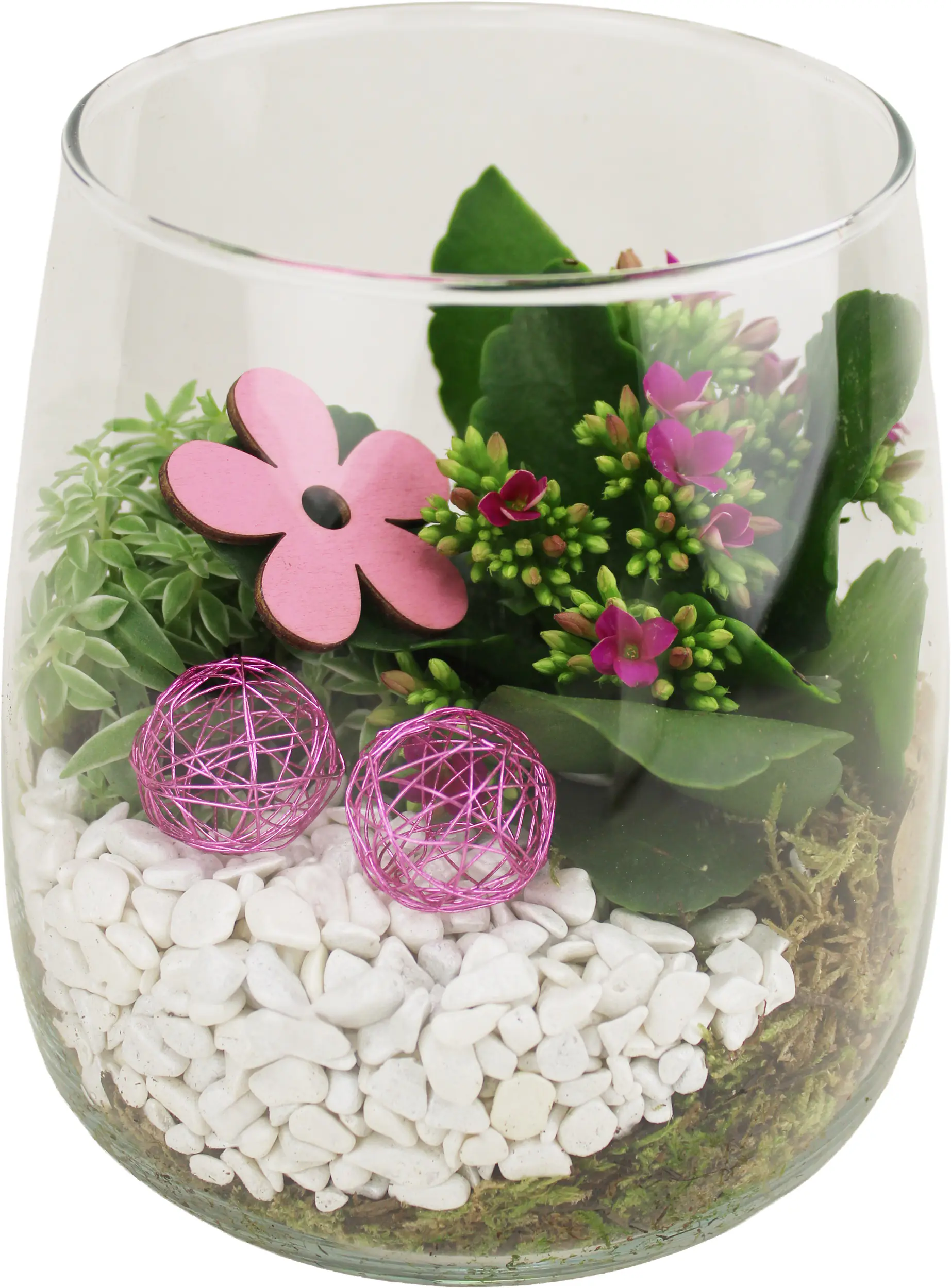 Osterarrangement Frühlingsglas Kalanchoe & Sedum in Glasvase