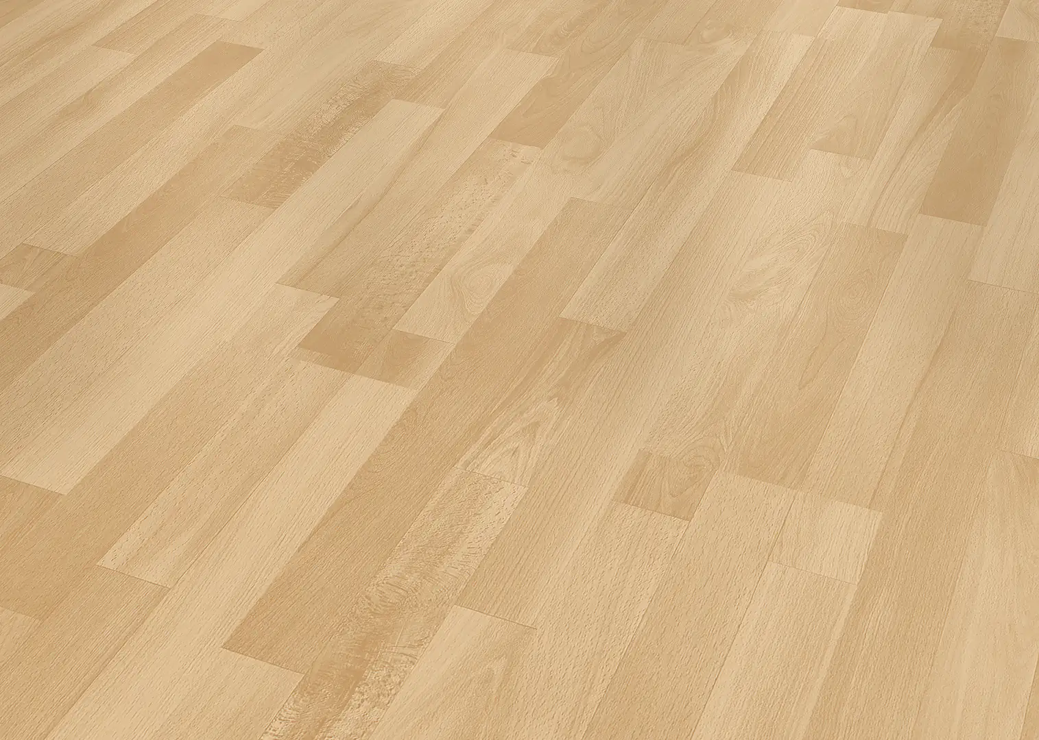 Classen Handmuster Laminat Edition 7 Buche Royal Schiffsboden