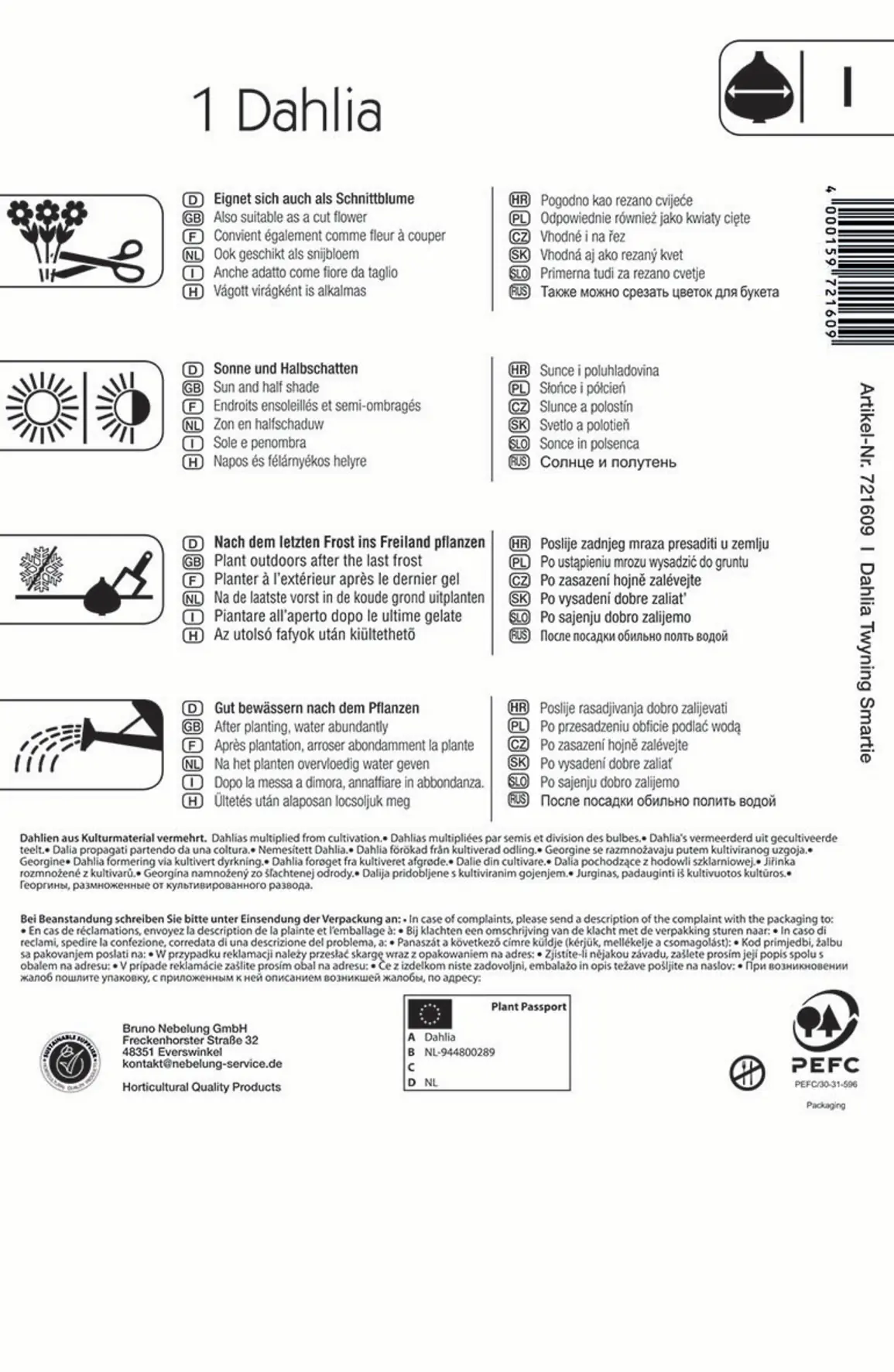 Kiepenkerl Frühjahrsblumenzwiebel Dahlie Twyning Smartie 1 Stück