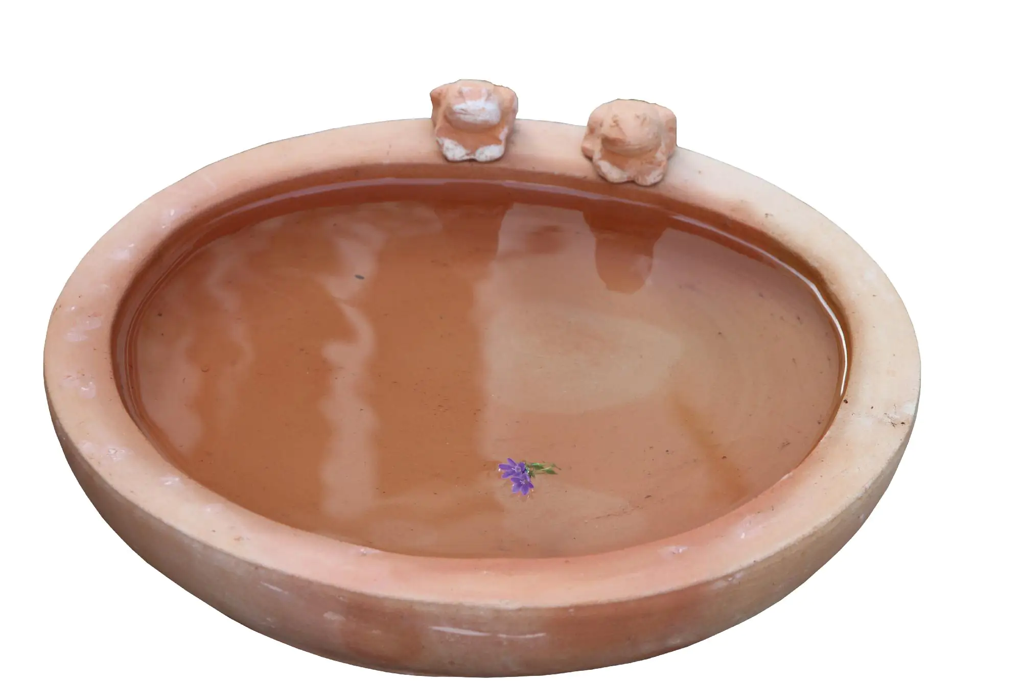 Silex Vogeltränke mit Fröschen 43 x H7 cm