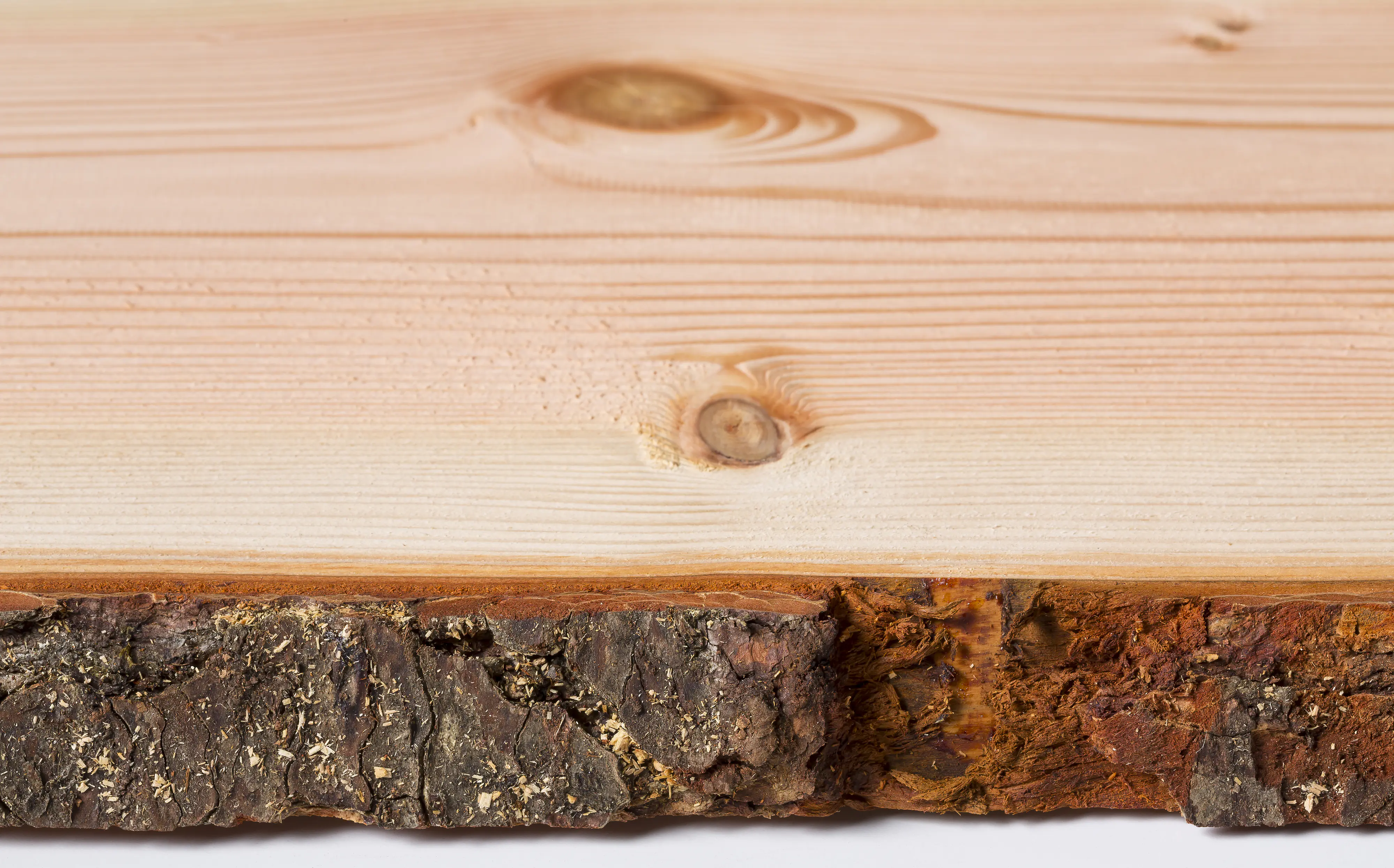 Holzbrett Massivholz Douglasie unbesäumt 200 x 23 cm 30 mm