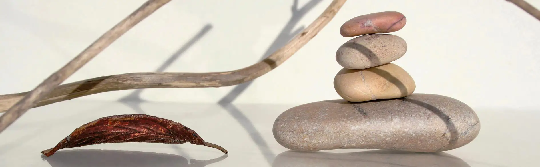 4251050588512 Deco-Panel Bild - Stone Leaf 145 x 45 cm