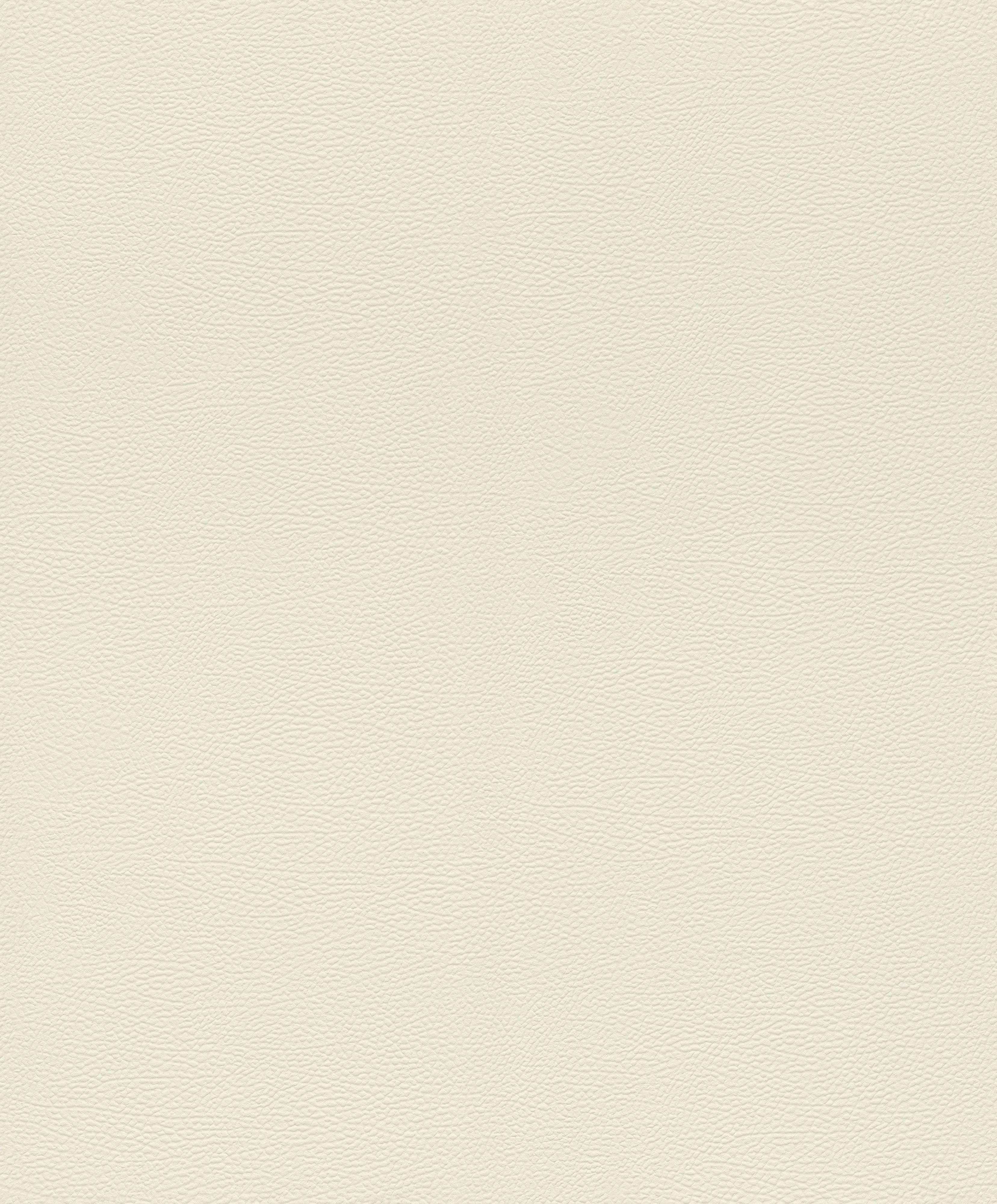 Rasch Vliestapete 752625 Beige-Hellbeige Uni 10,05 m x 0,53 m