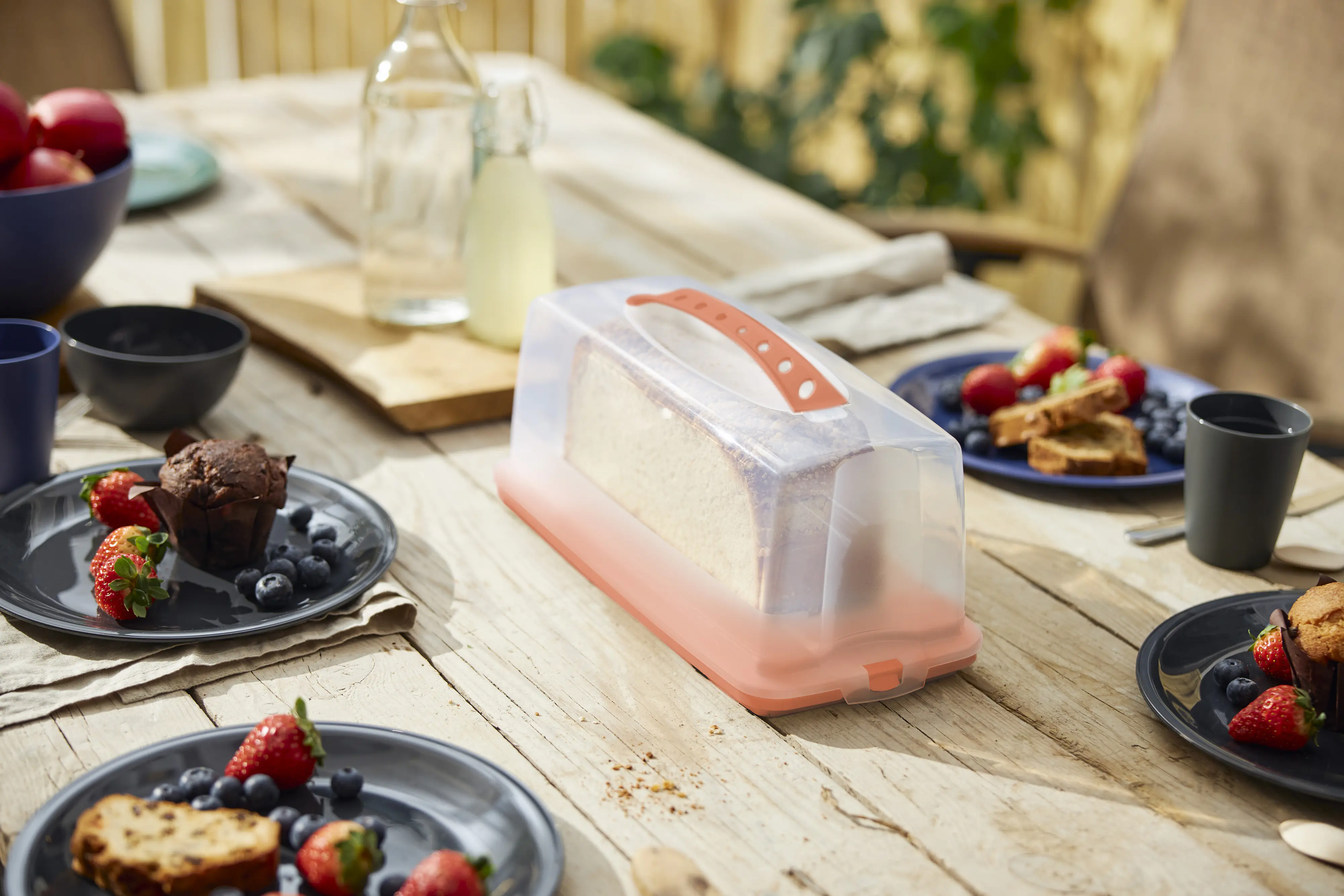 Rotho Kuchenbehälter Fresh 36 x 17 cm koralle