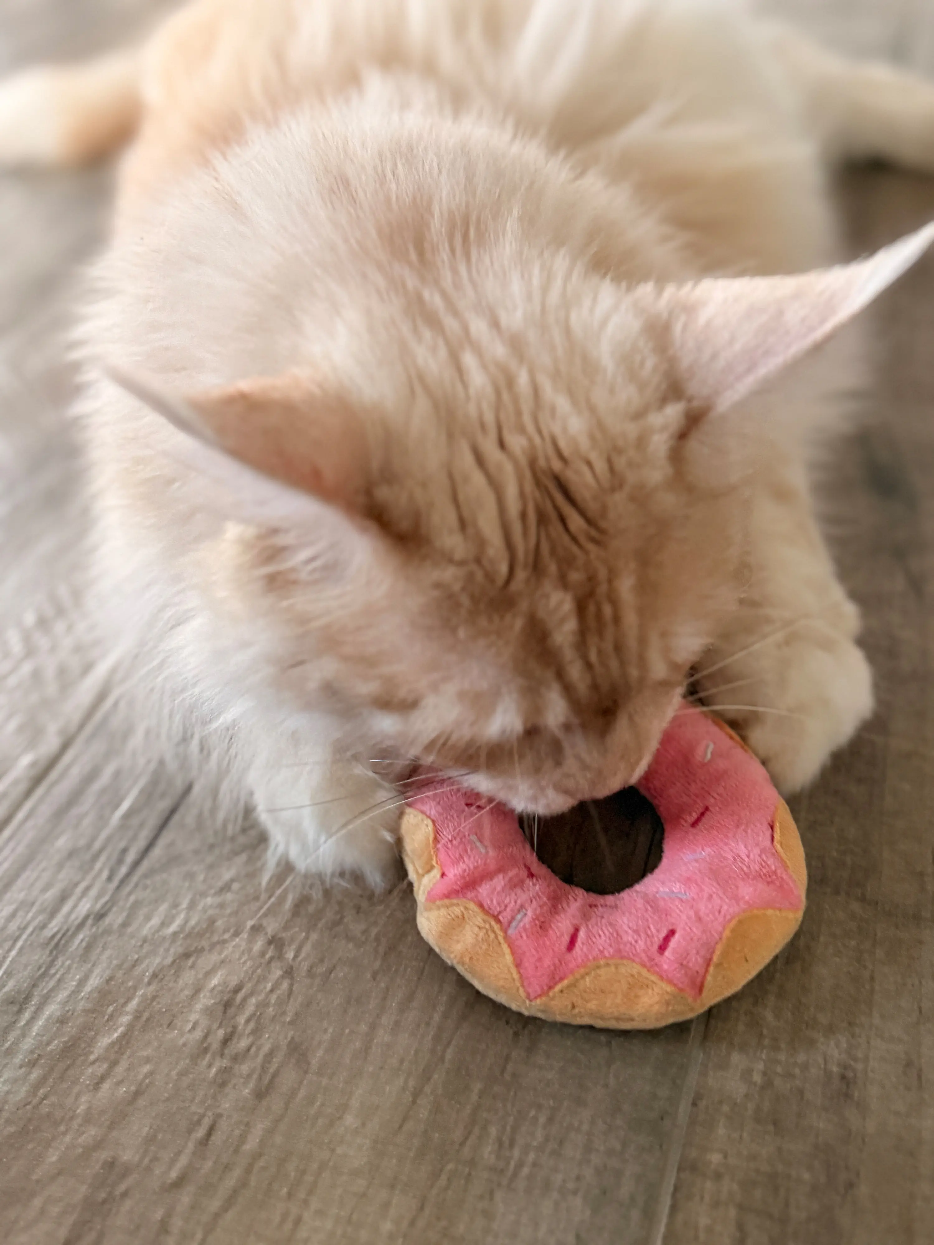 Aumüller Katzenspielzeug Donut Himbeere Ø 11 x 3,5 cm rosa/hellbraun 
