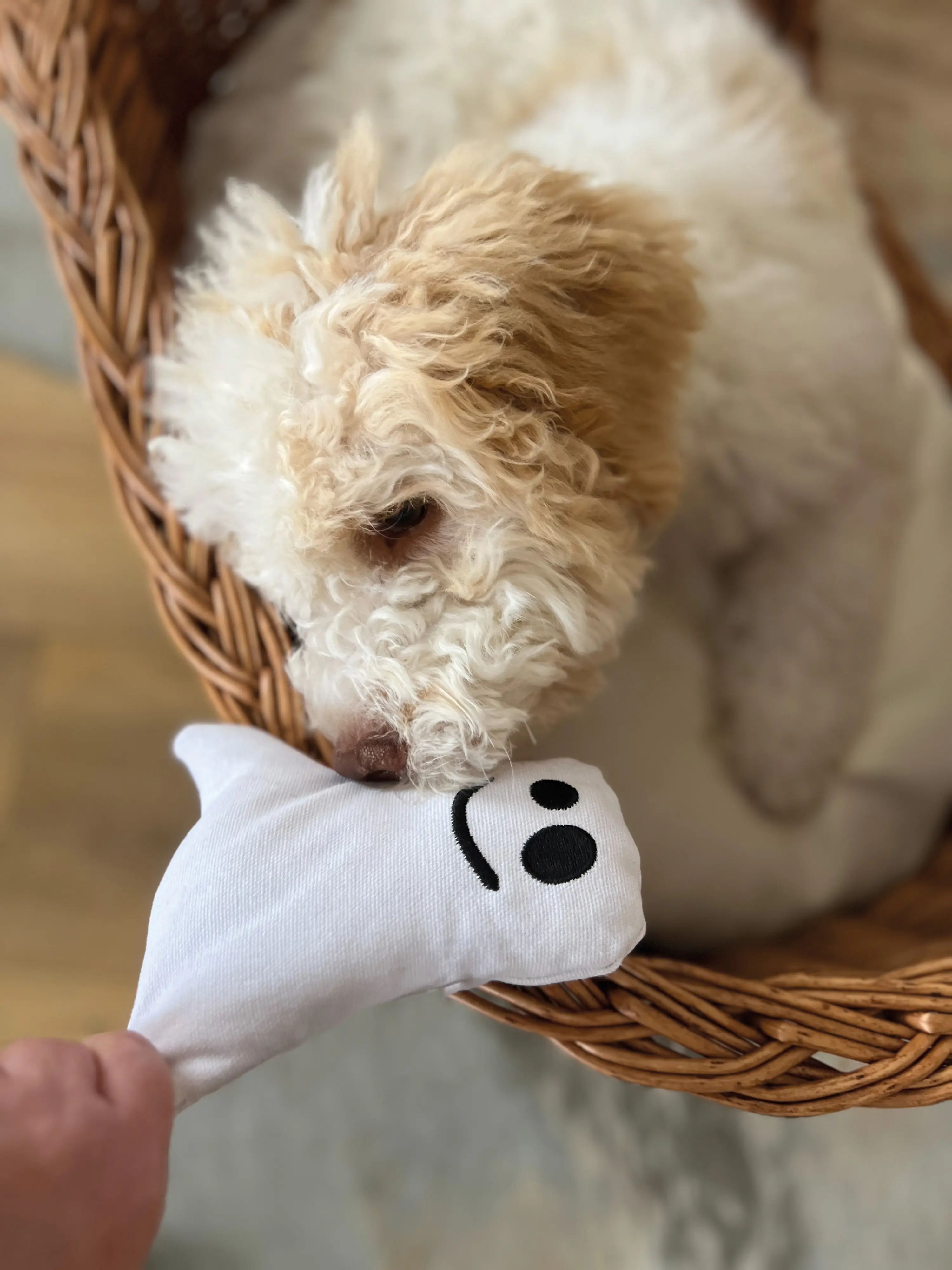 Aumüller Hundespielzeug Geist 16 cm weiß schwarz