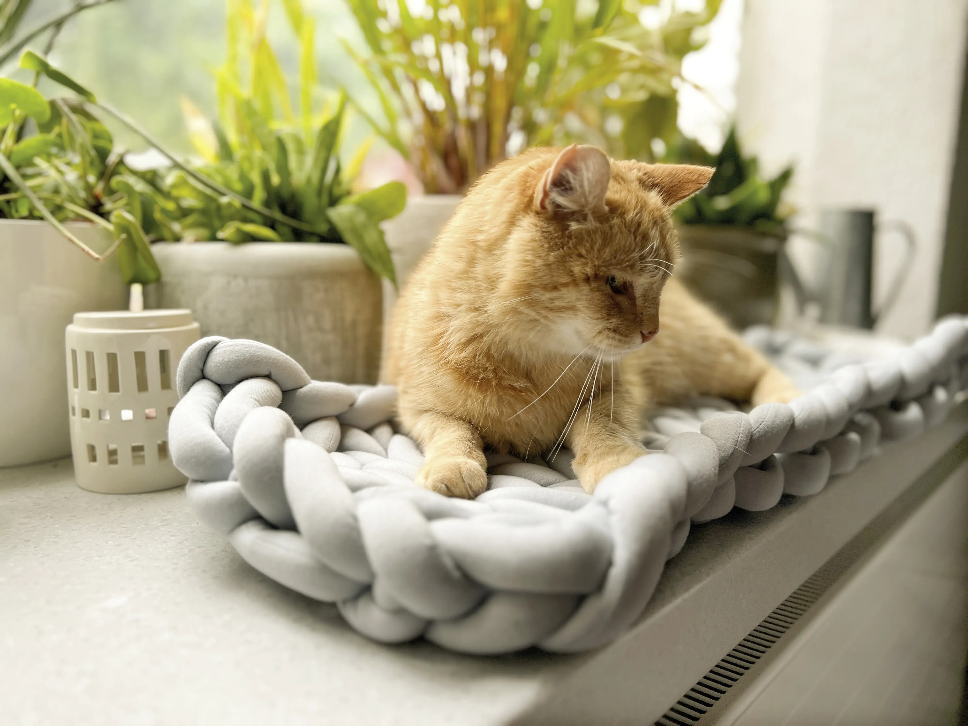 Aumüller Katzenbett XXL Grobstrick grau 65 x 25 x 6 cm