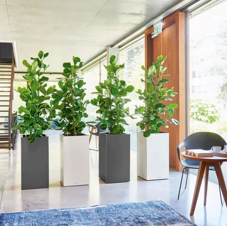 Lechuza Pflanzgefäß Canto Premium 40 high silber metallic