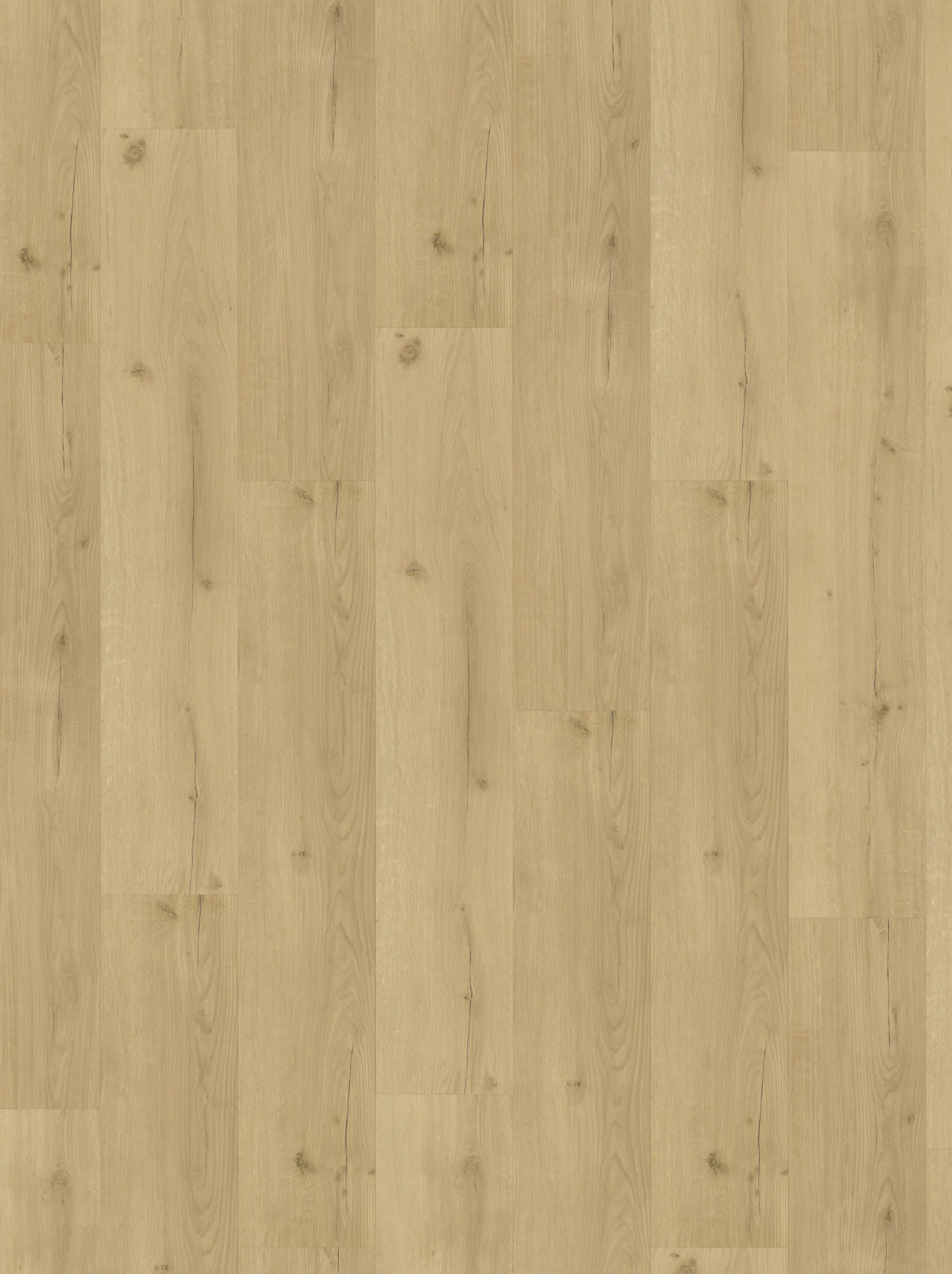 Parador Vinylboden mit Trillschalldämmung Basic 30 Eiche Sorella  Parador Vinylboden mit Trillschalldämmung Basic 30 Eiche Sorella