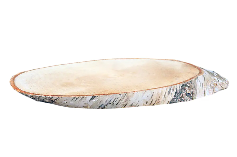 4260546685222 Birkenholzscheiben oval 100% Natur 35-38 cm ø