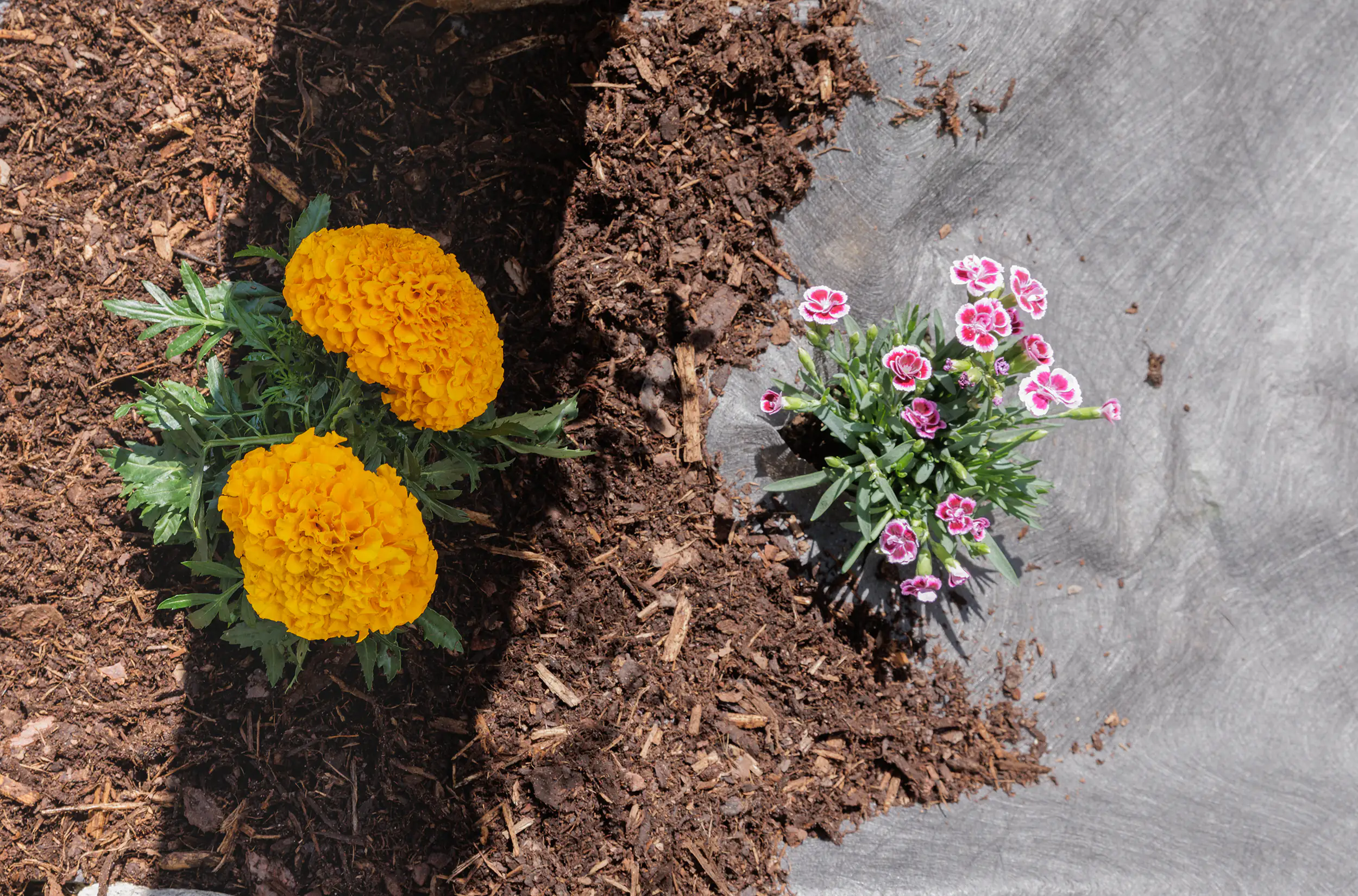 Primaster Unkrautvlies 1 x 5 m