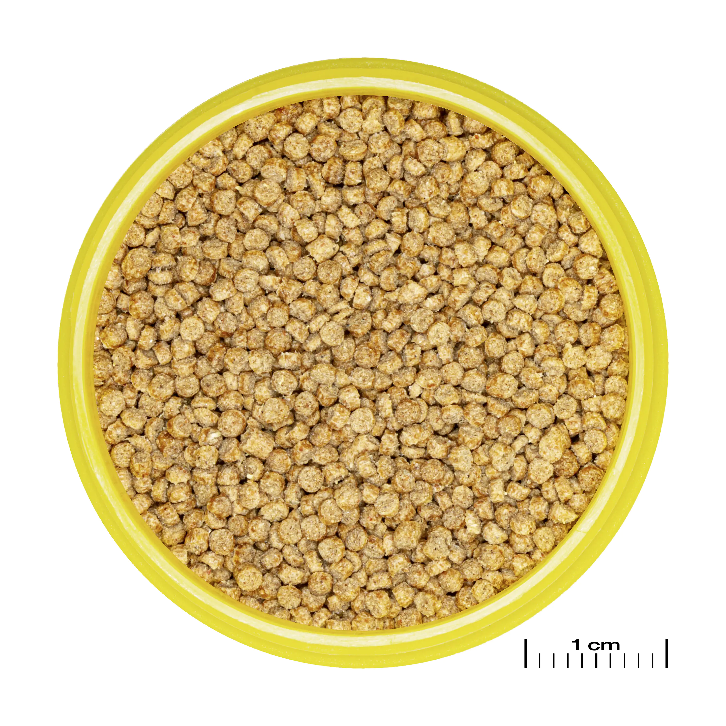 JBL Fischfutter Pronovo Cichlid Grano S Fischfuttergranulat 100 ml JBL Fischfutter Pronovo Cichlid Grano S Fischfuttergranulat 100 ml