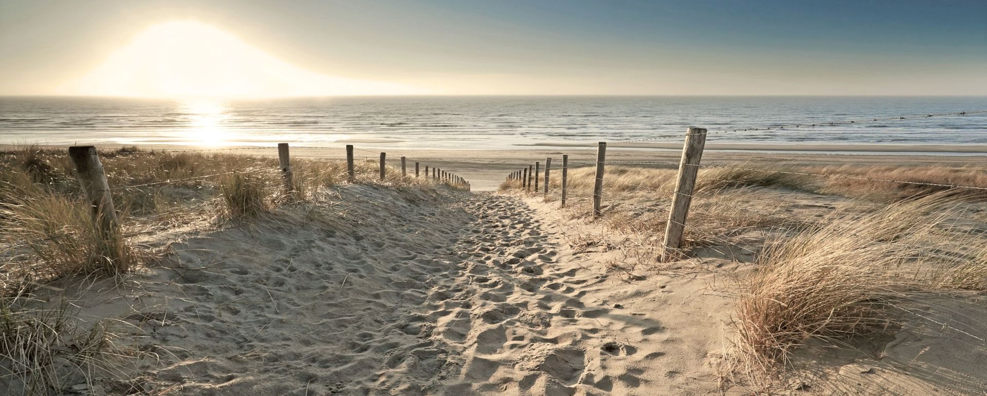 Deco-Glas Bild - Medow Beaches 125 x 50 cm