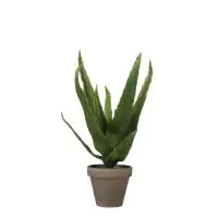 Mica Kunstpflanze Aloe Vera im Topf grün, 30 x 16 cm