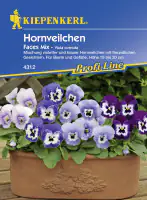 Kiepenkerl Hornveilchen Faces Viola x cornuta, Inhalt: ca. 20 Pflanzen