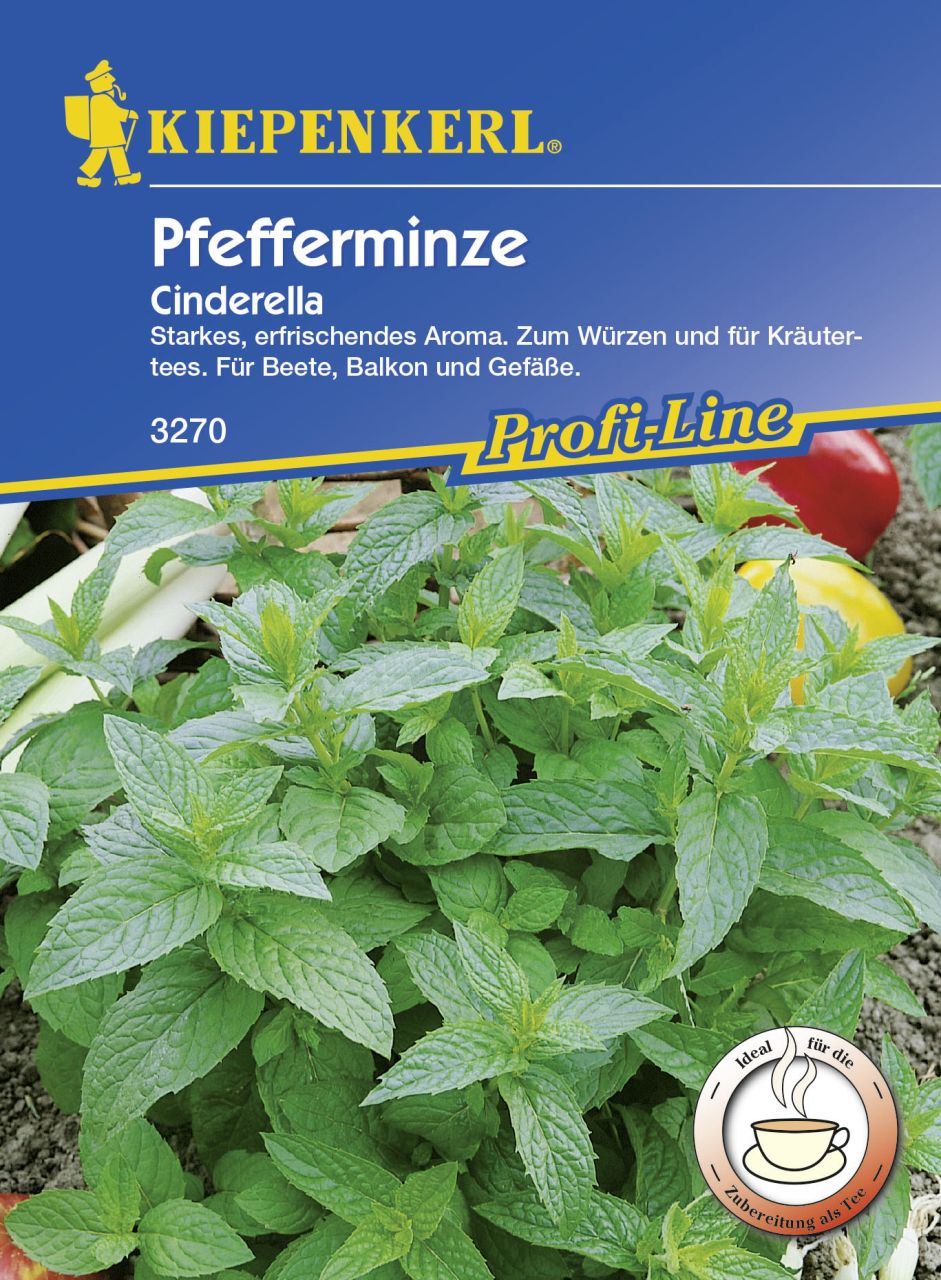 Kiepenkerl Profi-Line Pfefferminze Cinderella Mentha x piperita, Inhalt: ca. 100 Pflanzen GLO693107855