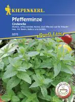 Kiepenkerl Profi-Line Pfefferminze Cinderella Mentha x piperita, Inhalt: ca. 100 Pflanzen