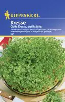 Kiepenkerl Kresse Glatte Kresse Lepidium sativum, Inhalt: ca. 0,5 m²