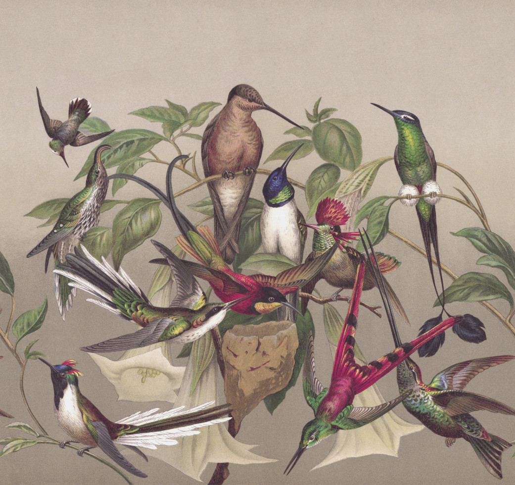 Rasch Vlies Fototapete 543568 Beige-Hellbeige Muster & Motive 3 m x 3,18 m