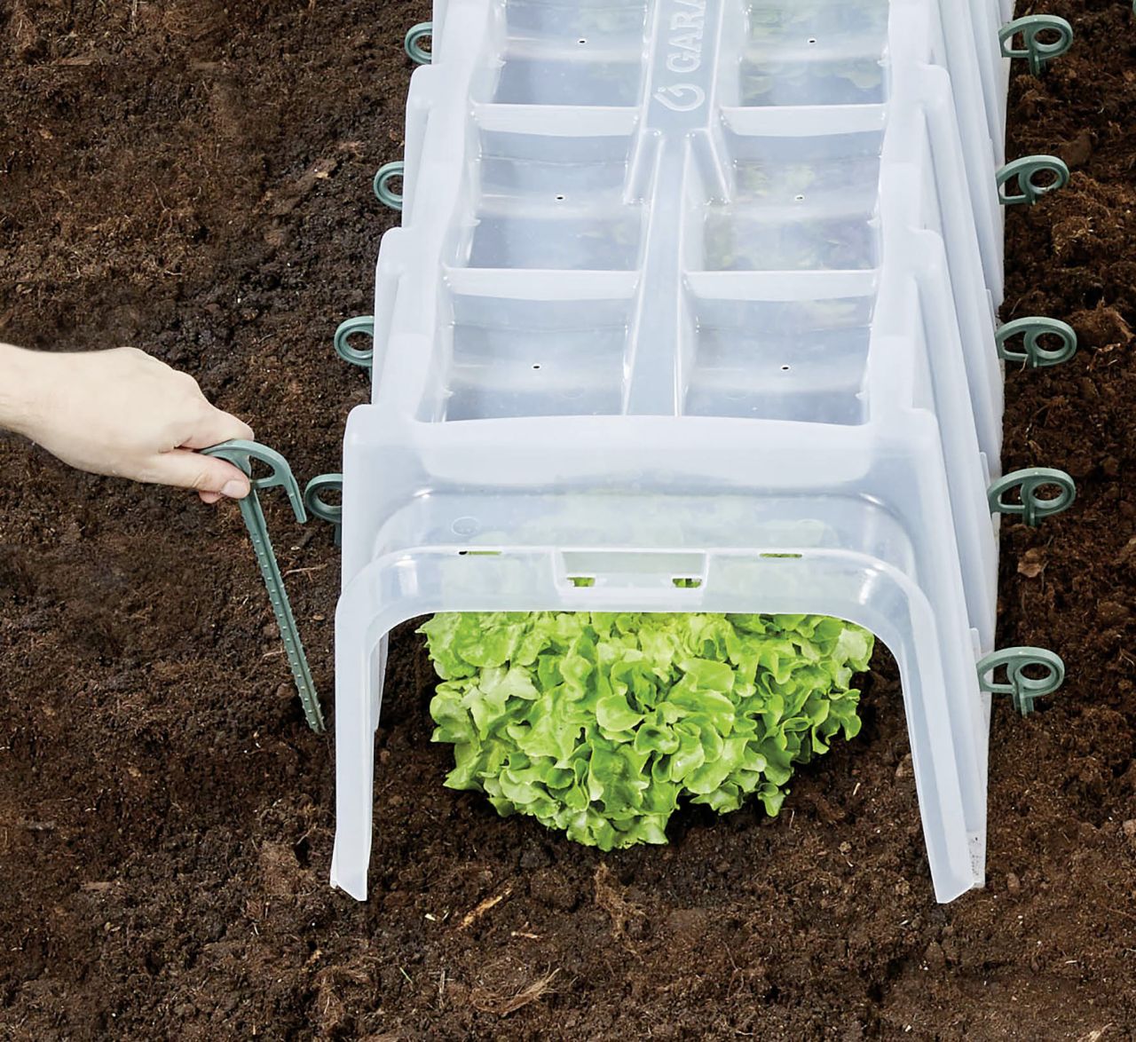 Garantia Pflanztunnel Sunny Komplettset 3er inkl. Endkappen und Bodenanker