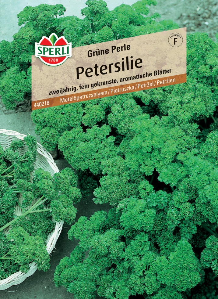 Sperli Petersilie Grüne Perle GLO693109387