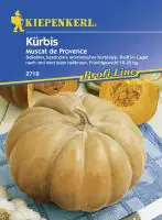 Kiepenkerl Kürbis Muscat de Provence Cucurbita maxima, Inhalt: ca. 10 Pflanzen