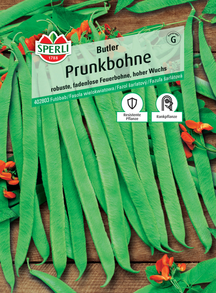 Sperli Prunkbohne Butler GLO693109701