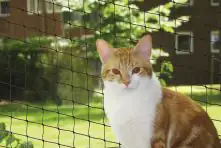Nobby Katzenschutznetz schwarz Größe M 4 x 3 m