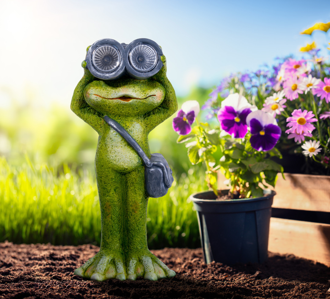 Näve Solar-Gartenleuchte LED Frosch stehend 30 cm grün kaufen | Globus ...