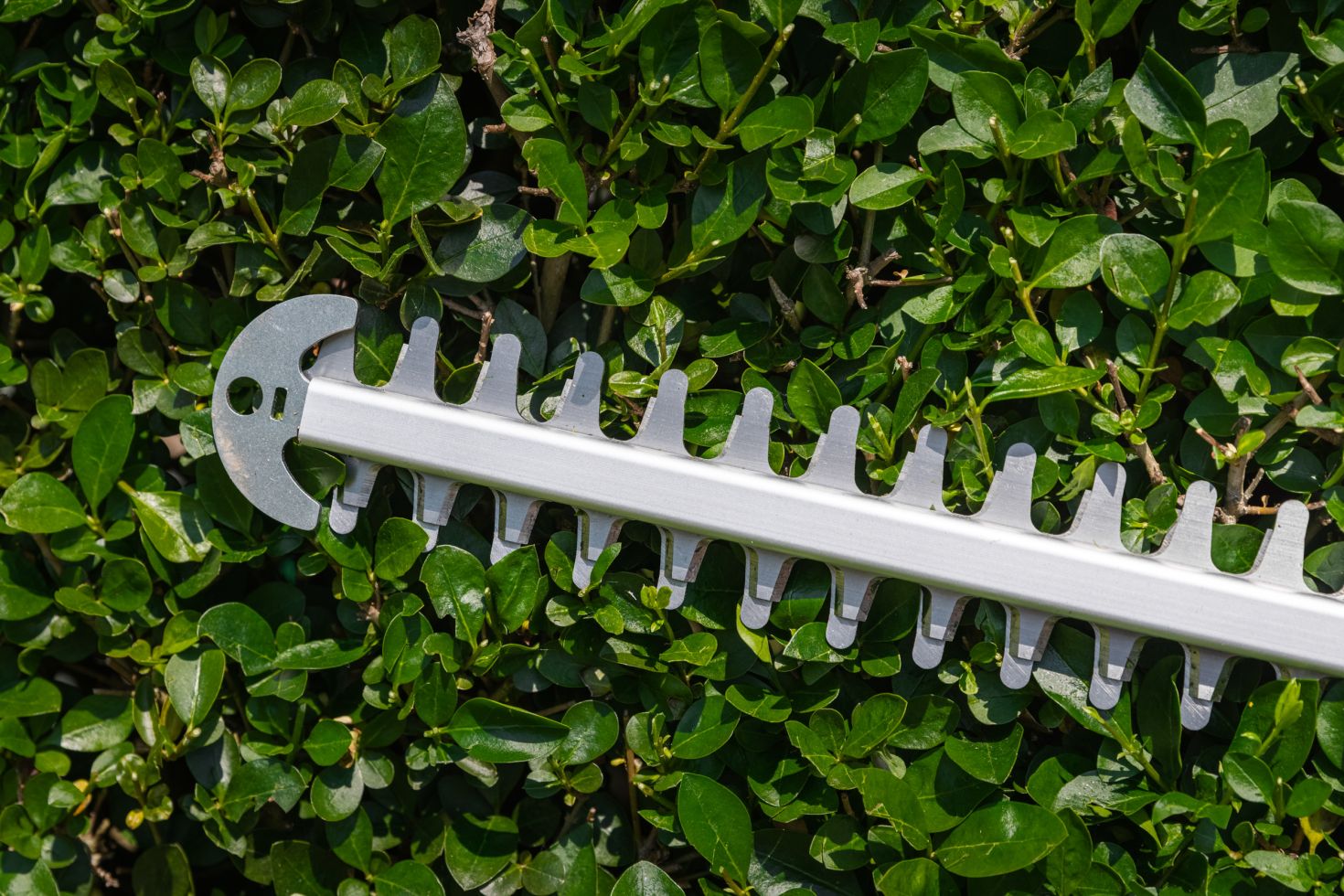 56+ Primaster Akku Heckenschere, Arbeitshöhe 300 cm, 3,3 kg.
