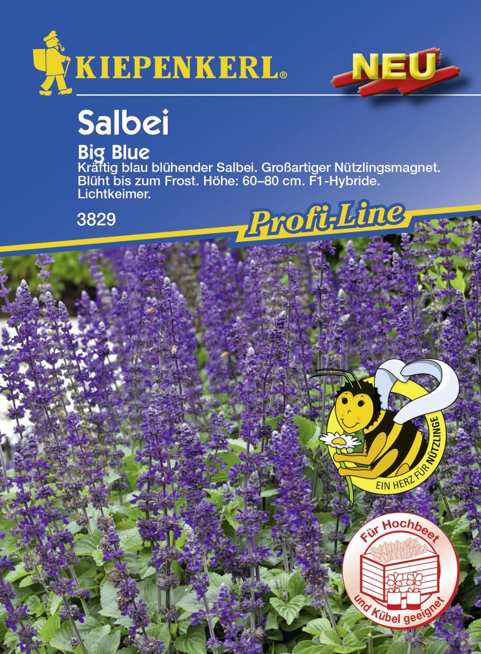 Kiepenkerl Salvia Big Blue Salvia longispicata x farinacea, Inhalt: 8 Korn GLO693108634