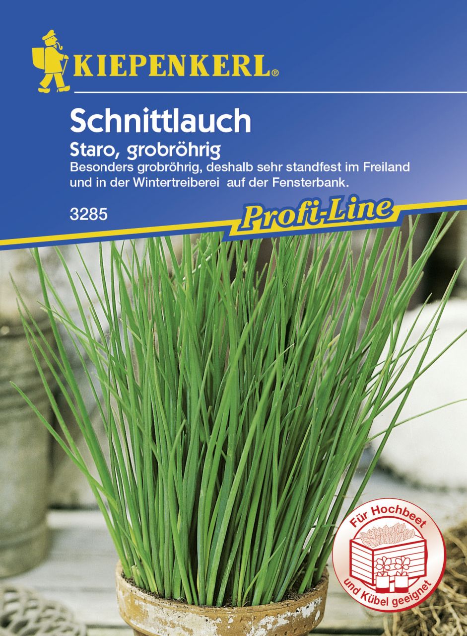 Kiepenkerl Schnittlauch Staro ca. 100 Pflanzen GLO693108992