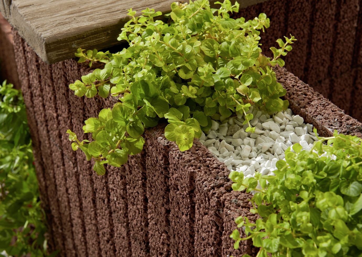 Kann Pflanzstein Mini 30 x 20 x 20 cm braun kaufen | Globus Baumarkt