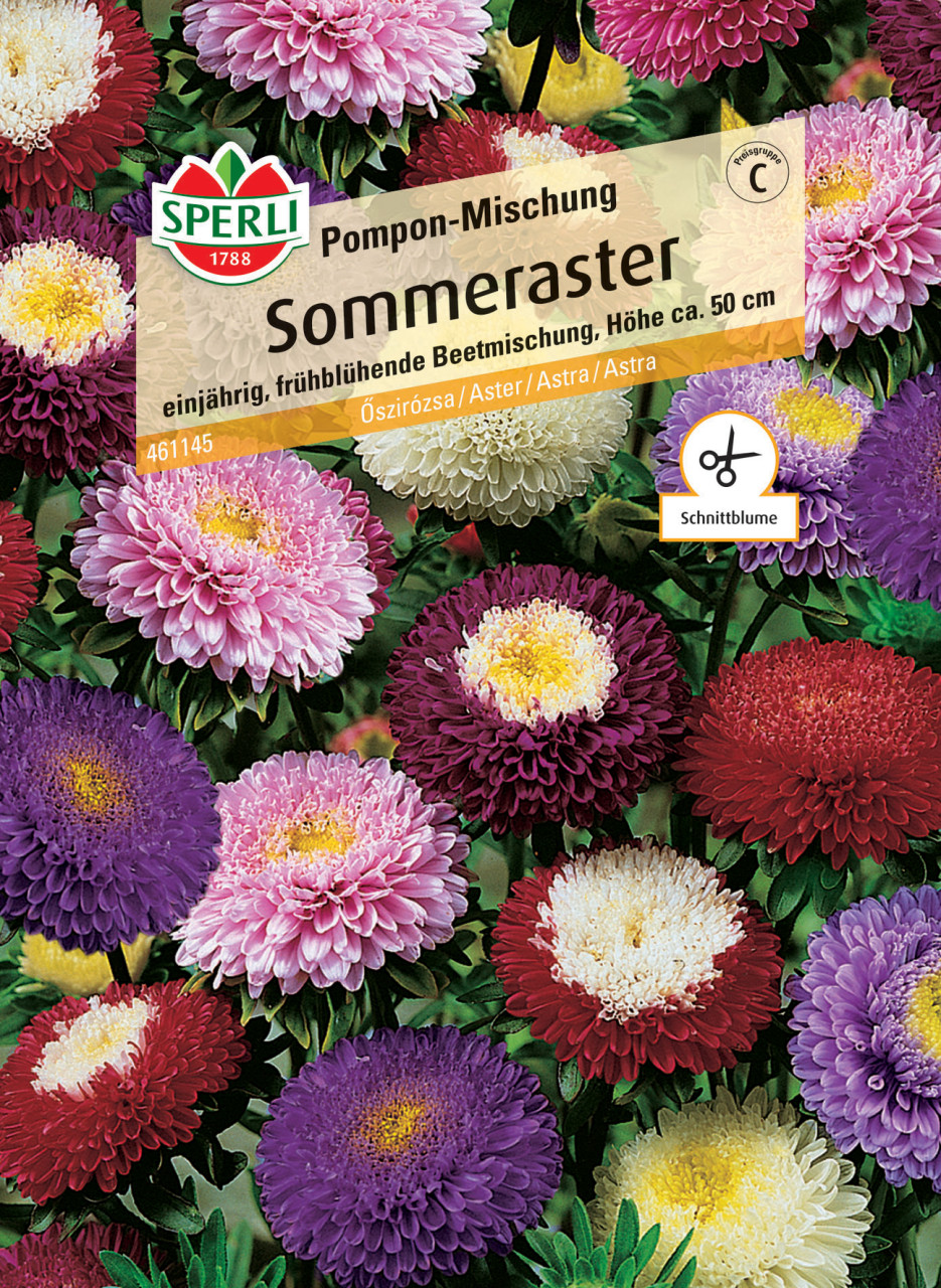 Sperli Sommeraster Pompon-Mischung GLO693109766
