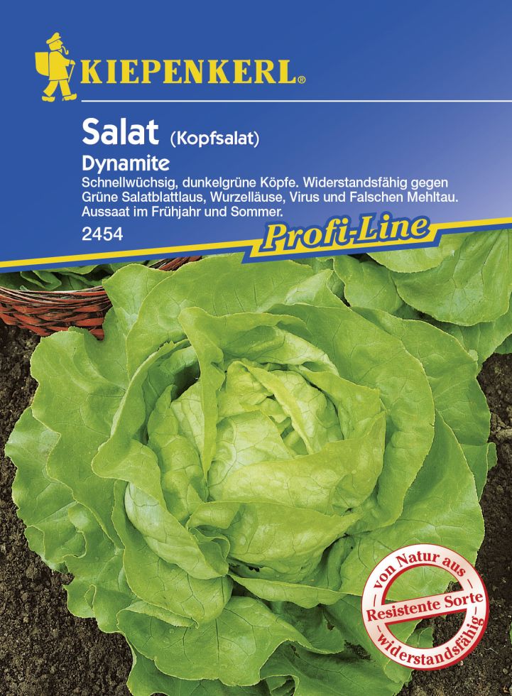 Kiepenkerl Kopfsalat Dynamite Lactuca sativa var. capitata, Inhalt: ca. 150 Pflanzen