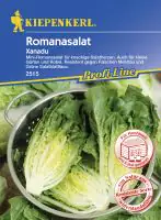 Kiepenkerl Romanasalat Xanadu ca. 80 Pflanzen