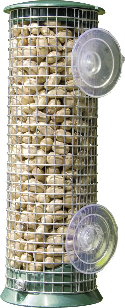 Wildlife Fenster Erdnusssäule Discovery grün Ø 7, Höhe 21 cm GLO689100573