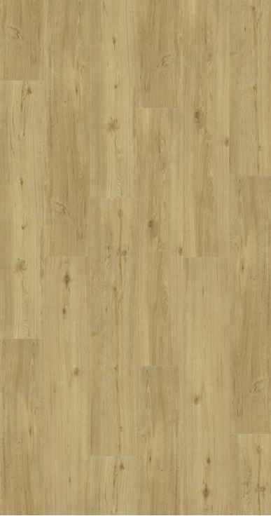 Parador Handmuster Vinyl Basic 5.3 Eiche natur GLO780403564