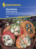Kiepenkerl Zierkürbis Turban Cucurbita pepo, Inhalt: ca. 5 Pflanzen