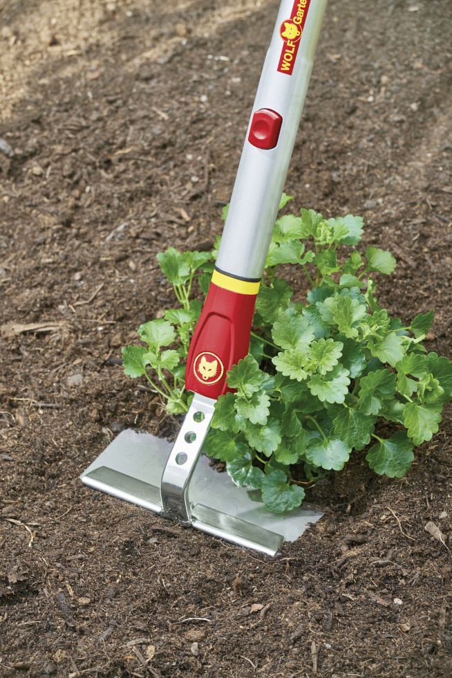 Wolf Garten Hacke HWM 15 MultiStar, 15 cm Arbeitsbreite kaufen