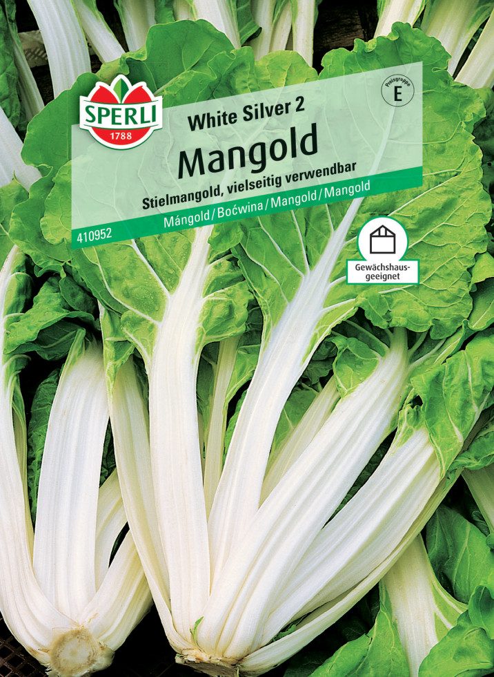 Sperli Mangold White Silver 2 kaufen Globus Baumarkt