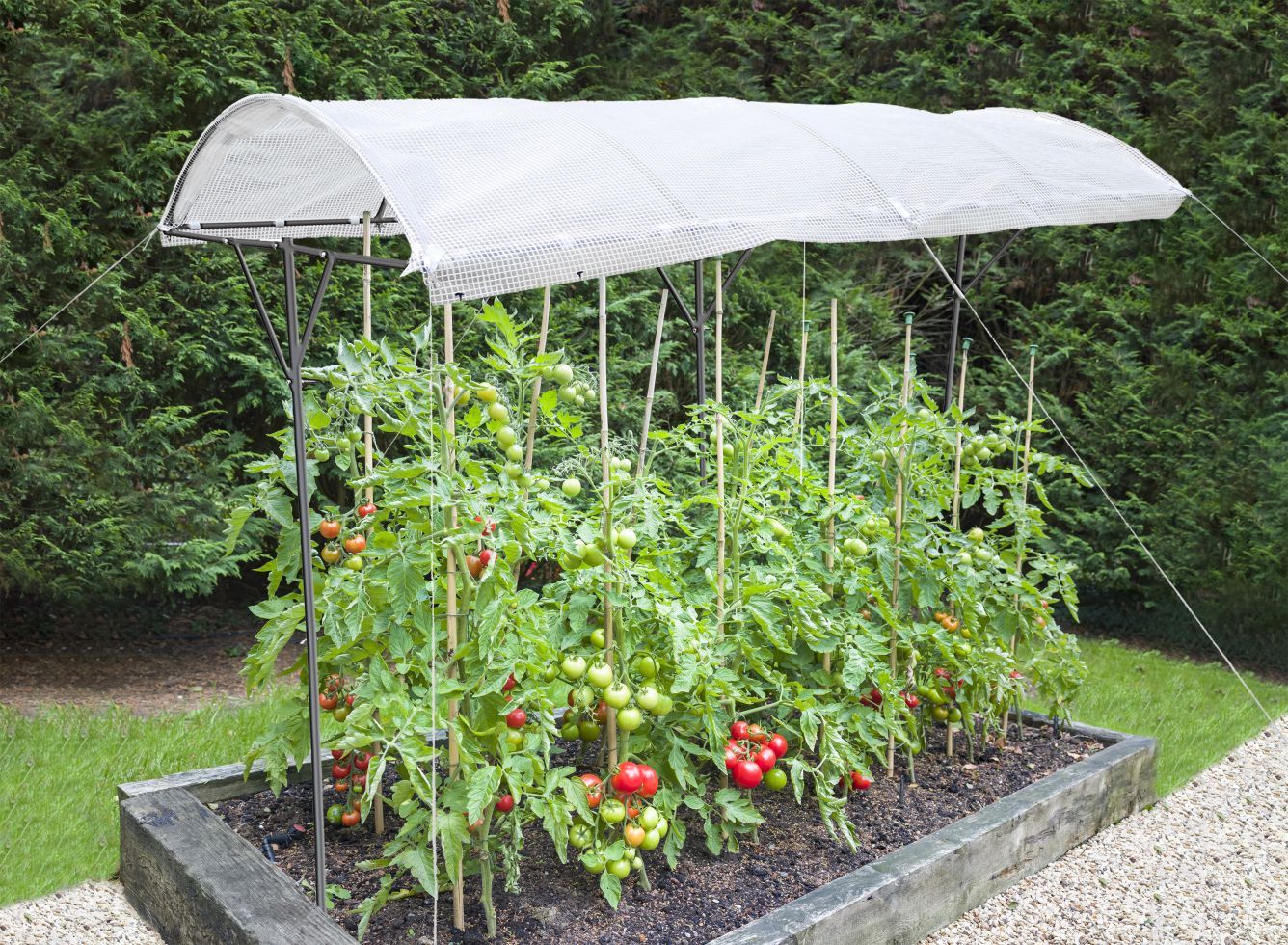 TrendLine Tomatenschutzdach ca. 200 x 112 x 80/180 cm kaufen Globus