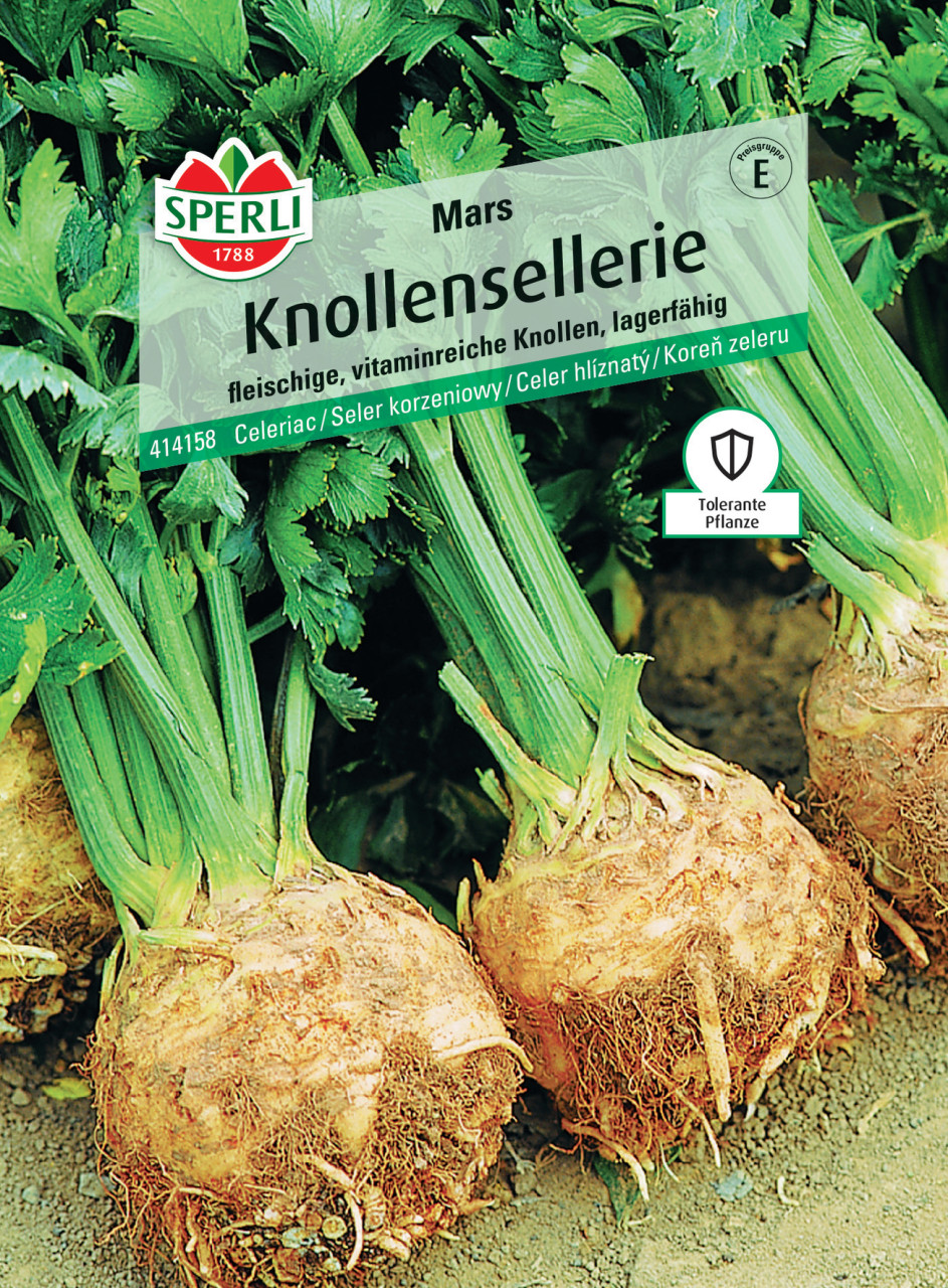 Sperli Knollensellerie Mars GLO693109759