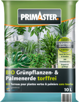 sansevieria trifasciata 'black gold' Snake Trifasciata Black Gold — The Gardeners' Choice