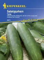 Kiepenkerl Salatgurke Tanja Cucumis sativus, Inhalt: ca. 40 Pflanzen