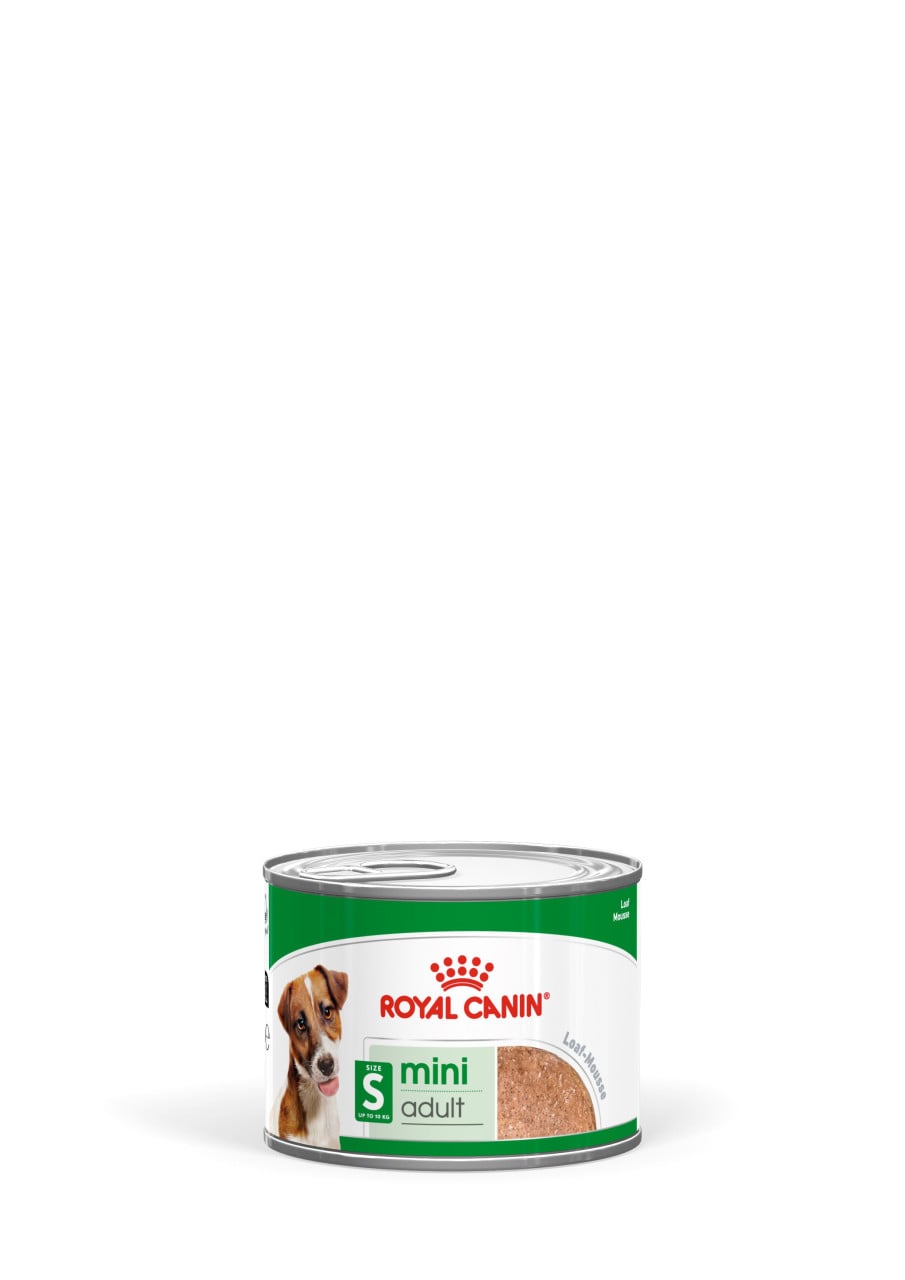 Royal Canin Hundenassfutter Adult 195 g Mini Mousse